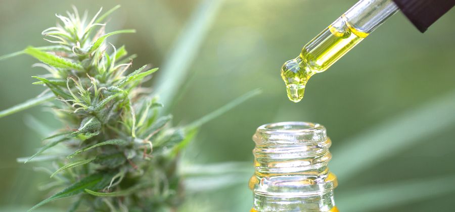 cbd et fibromyalgie