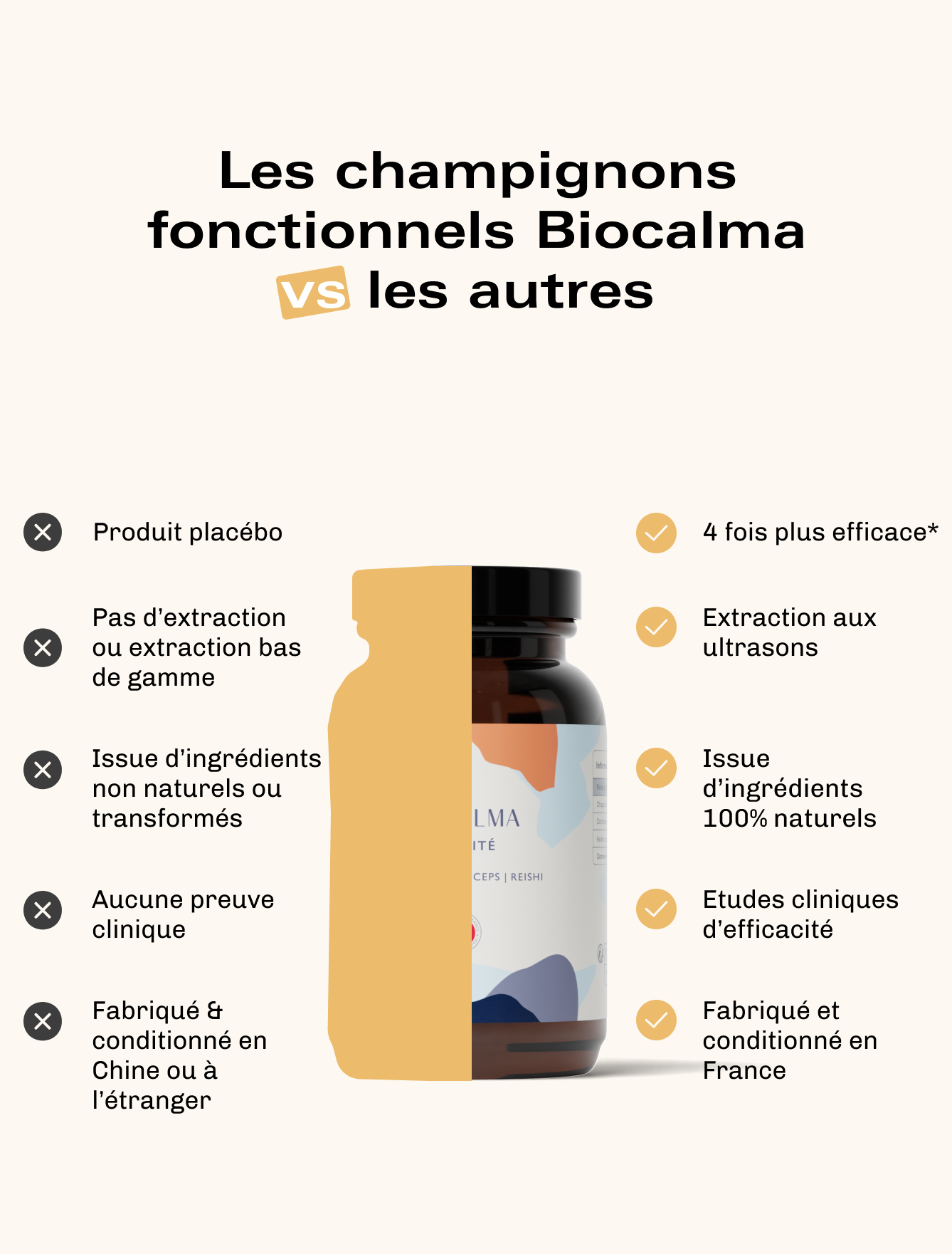 Champignons Fonctionnels Vitalité