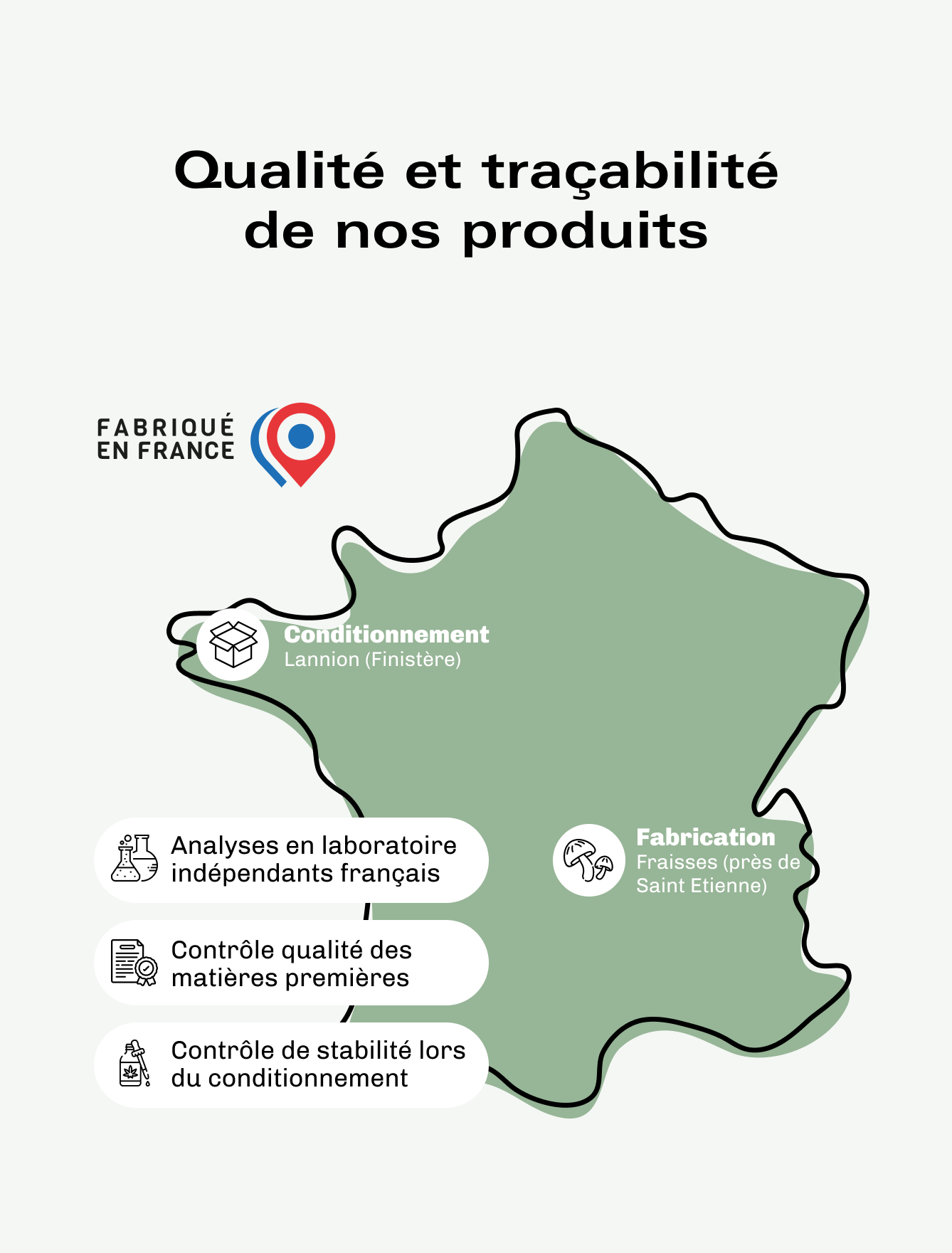 Champignons Fonctionnels Immunité