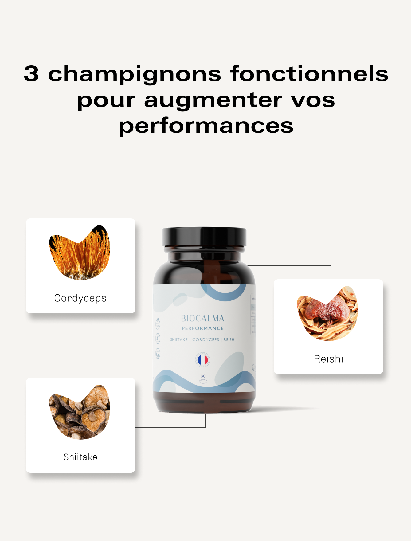 Champignons Fonctionnels Performance