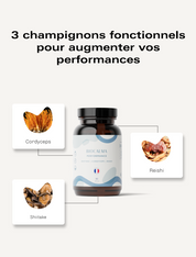 Champignons Fonctionnels Performance