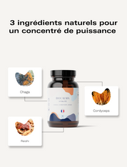 Champignons Fonctionnels Vitalité